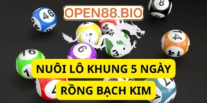 Nuôi lô khung 5 ngày rồng bạch kim