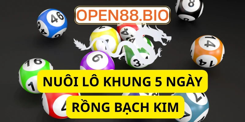Nuôi lô khung 5 ngày rồng bạch kim